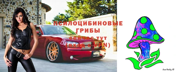 2c-b Алексеевка