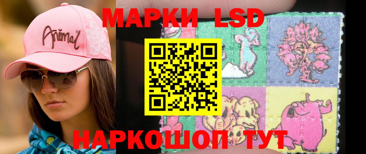 Наркотические марки 1,8мг  Вход с VPN  Наркотические марки 1,8мг  Россошь 