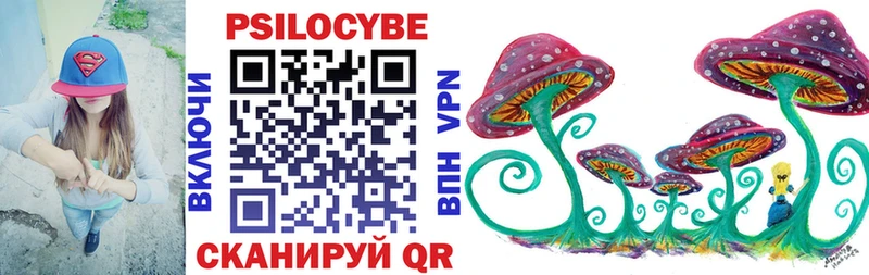закладки  Россошь  Псилоцибиновые грибы Psilocybe 