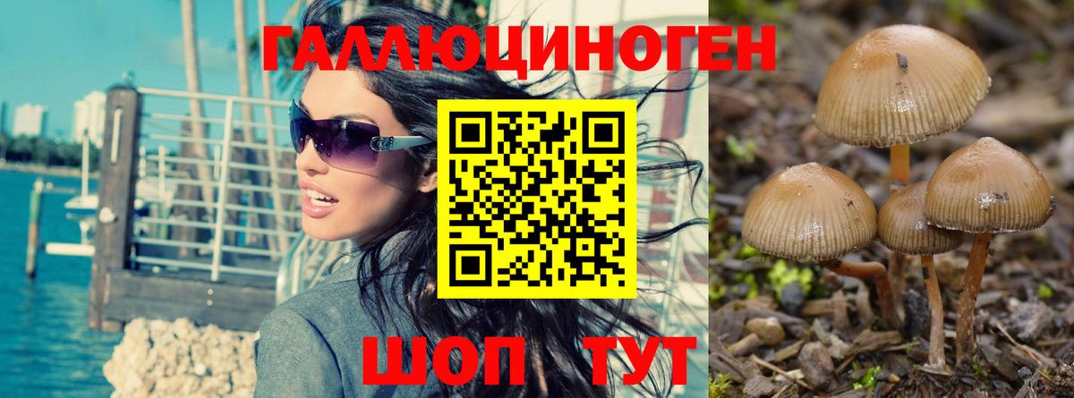 Псилоцибиновые грибы мухоморы  Псилоцибиновые грибы мухоморы  Вход с VPN  Россошь 