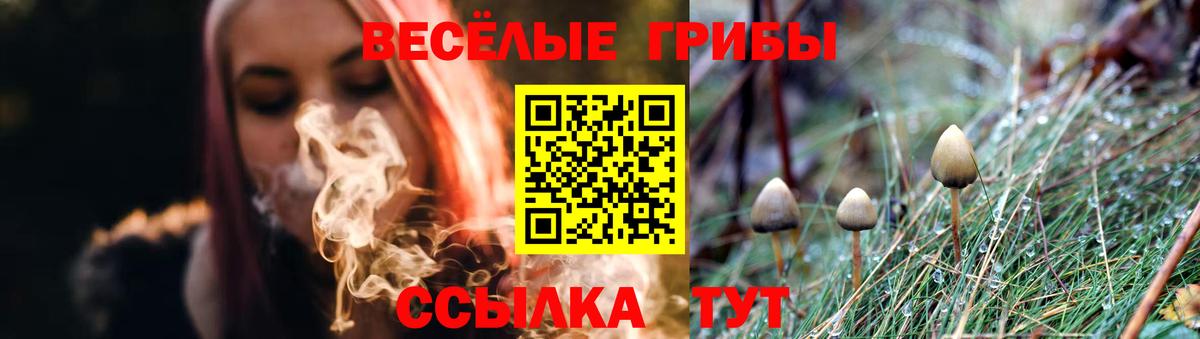 Галлюциногенные грибы мухоморы Россошь